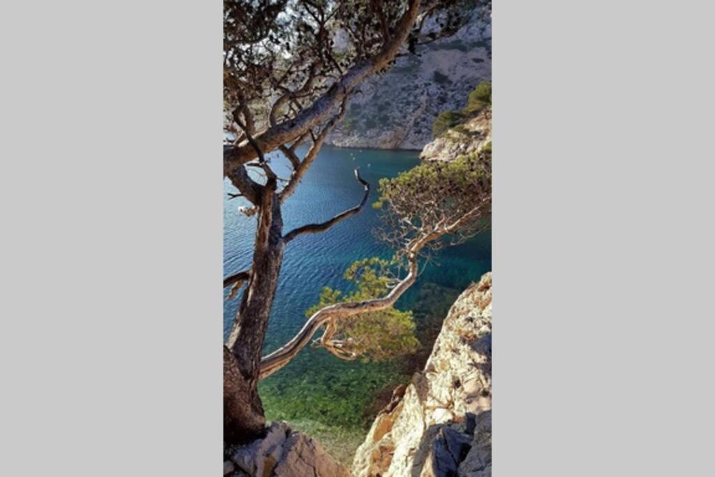 Suite Sur La Mer Marseille Corniche ภายนอก รูปภาพ